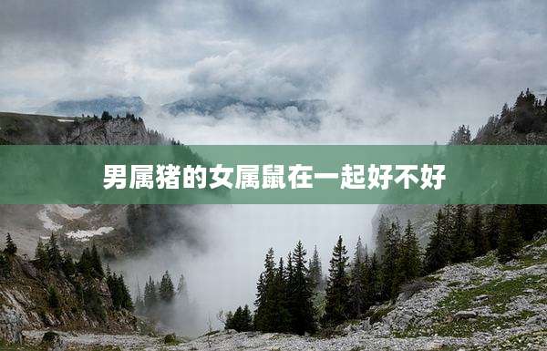 男属猪的女属鼠在一起好不好