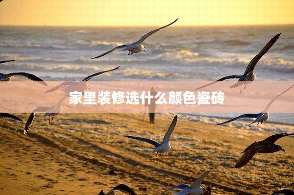 家里装修选什么颜色瓷砖