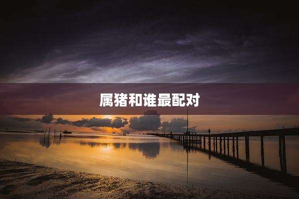 属猪和谁最配对