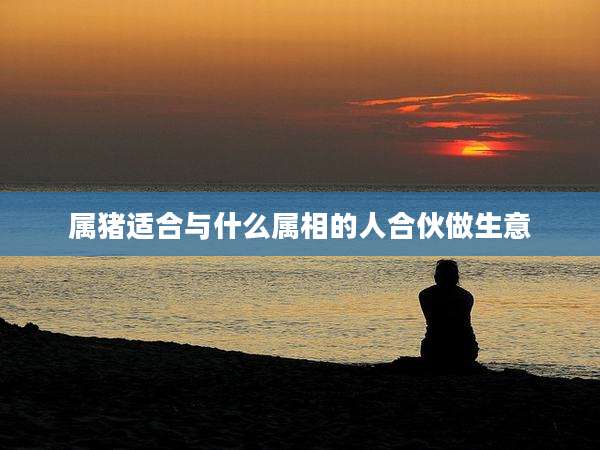 属猪适合与什么属相的人合伙做生意
