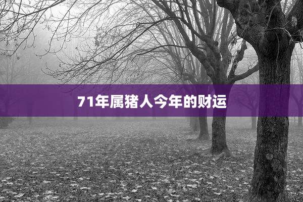 71年属猪人今年的财运