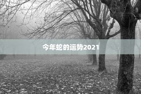 今年蛇的运势2021