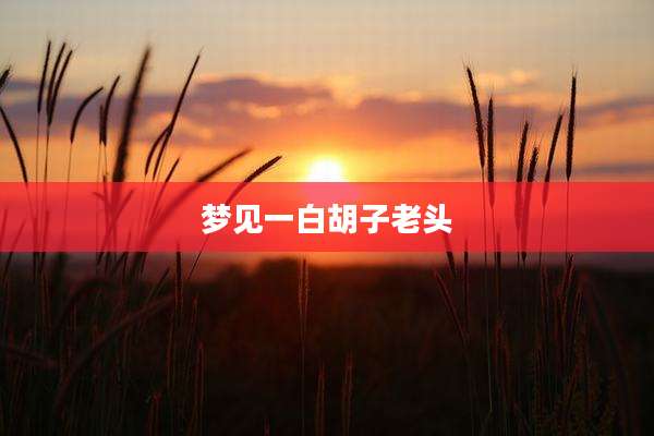 梦见一白胡子老头