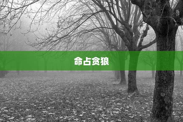 命占贪狼