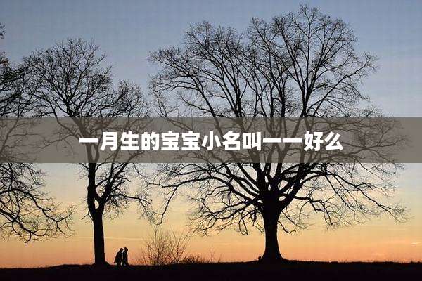 一月生的宝宝小名叫一一好么