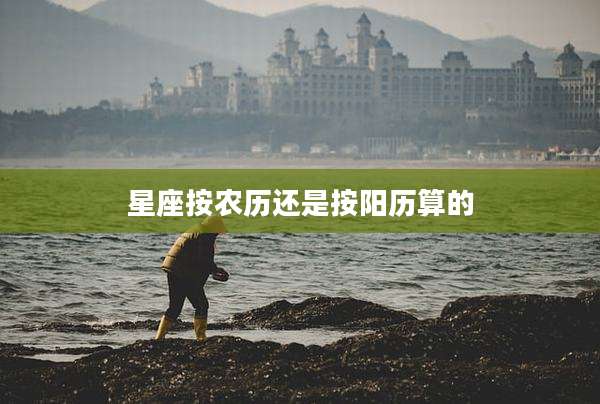 星座按农历还是按阳历算的