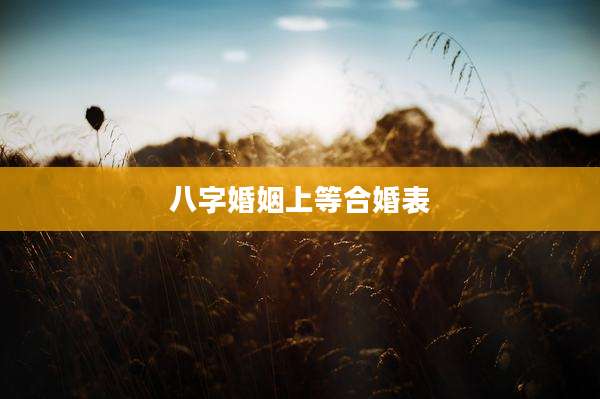 八字婚姻上等合婚表