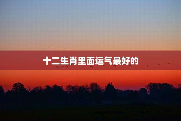 十二生肖里面运气最好的