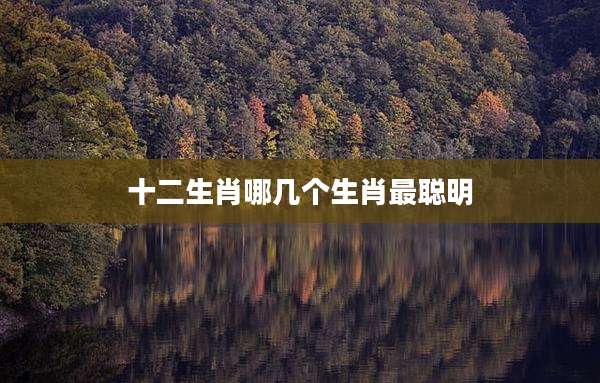 十二生肖哪几个生肖最聪明