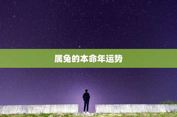 属兔的本命年运势
