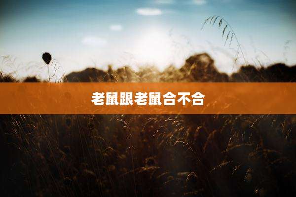 老鼠跟老鼠合不合
