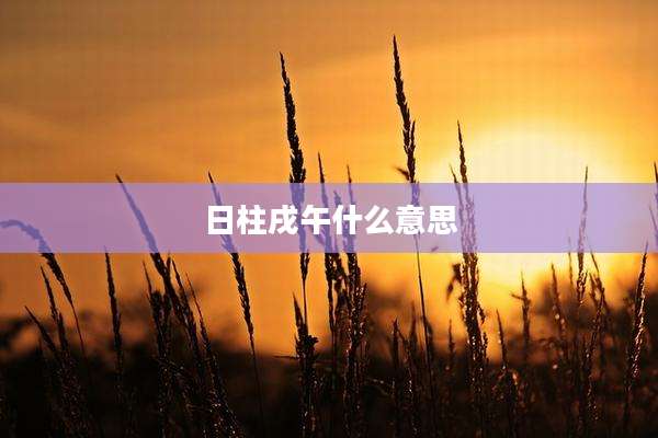 日柱戌午什么意思
