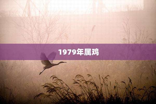 1979年属鸡