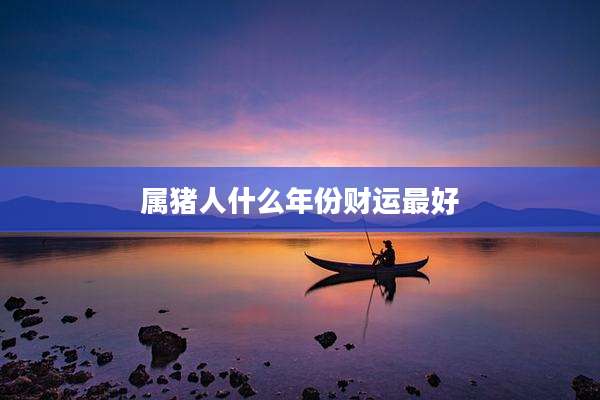 属猪人什么年份财运最好