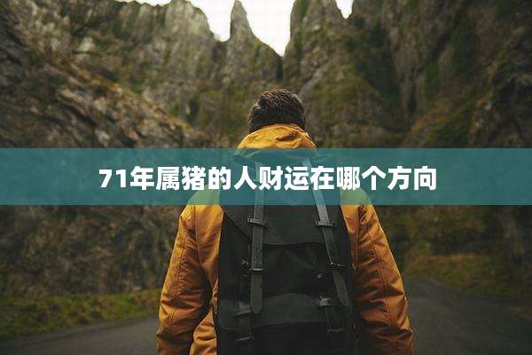 71年属猪的人财运在哪个方向
