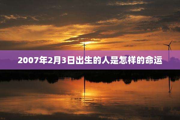 2007年2月3日出生的人是怎样的命运
