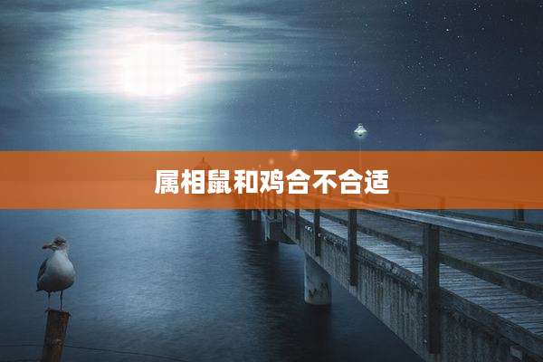 属相鼠和鸡合不合适