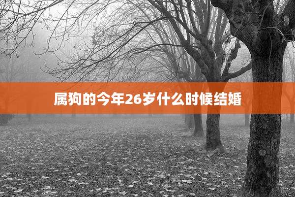 属狗的今年26岁什么时候结婚