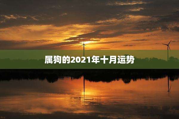 属狗的2021年十月运势