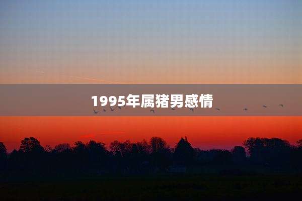 1995年属猪男感情
