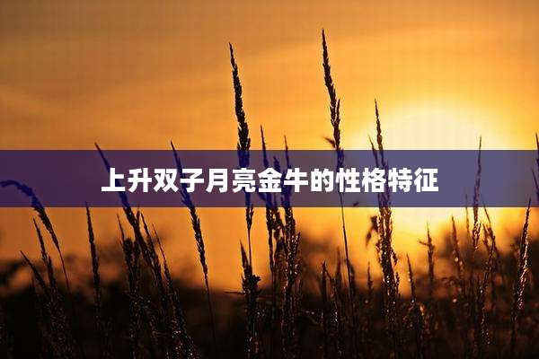 上升双子月亮金牛的性格特征