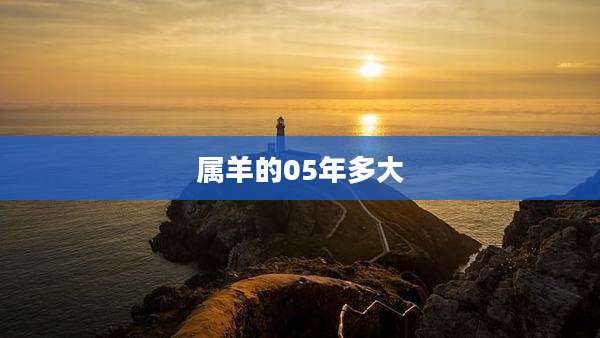 属羊的05年多大