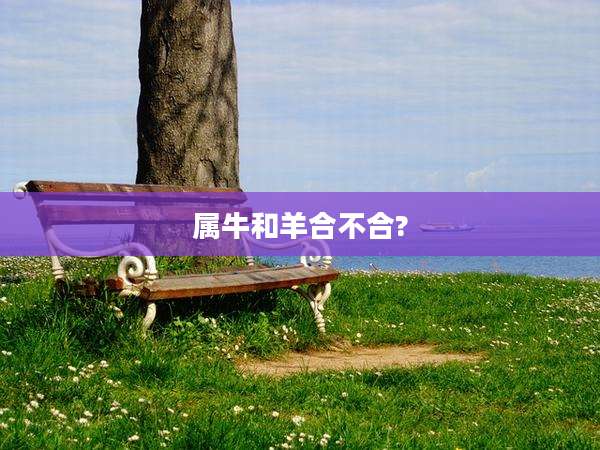 属牛和羊合不合?