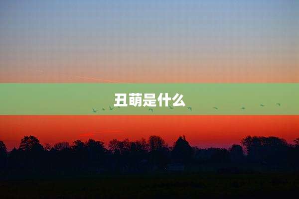 丑萌是什么