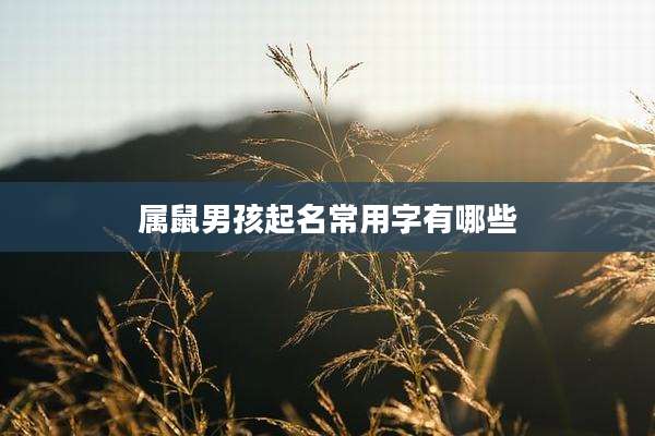 属鼠男孩起名常用字有哪些