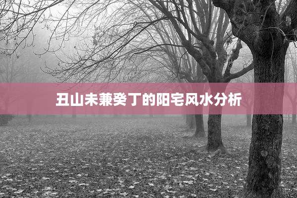丑山未兼癸丁的阳宅风水分析