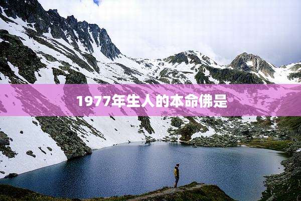 1977年生人的本命佛是