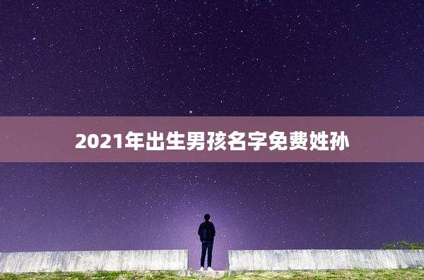 2021年出生男孩名字免费姓孙