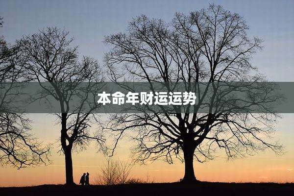本命年财运运势