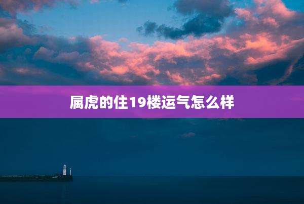 属虎的住19楼运气怎么样