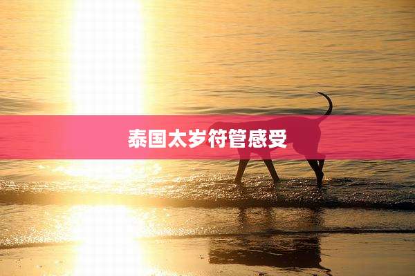 泰国太岁符管感受