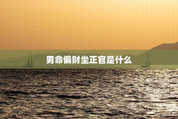 男命偏财坐正官是什么