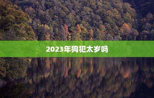 2023年狗犯太岁吗