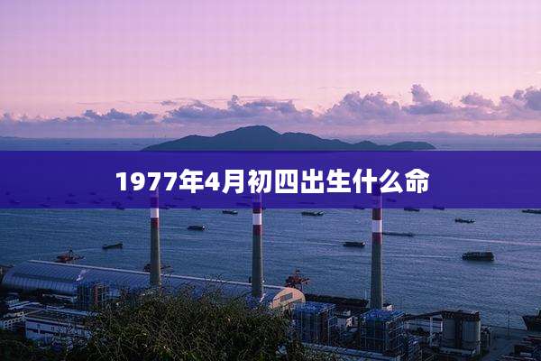 1977年4月初四出生什么命