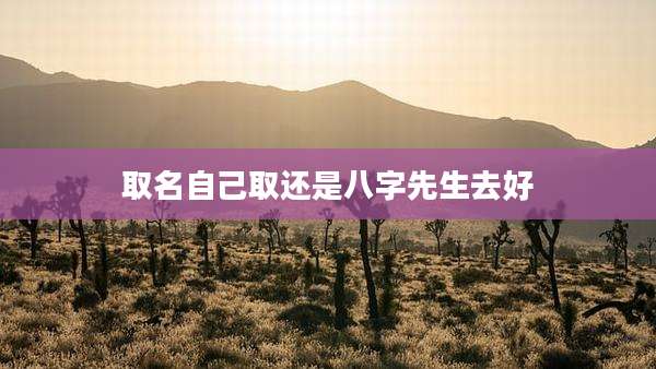 取名自己取还是八字先生去好
