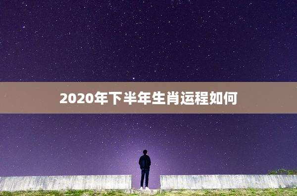 2020年下半年生肖运程如何
