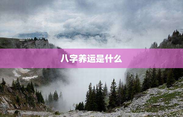 八字养运是什么