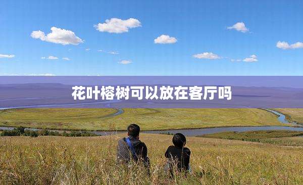 花叶榕树可以放在客厅吗