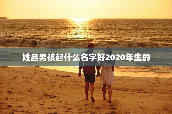 姓吕男孩起什么名字好2020年生的