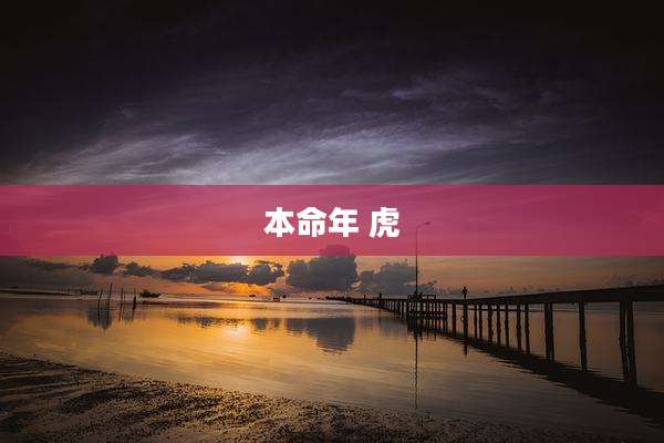本命年 虎