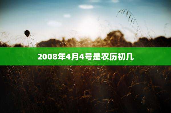 2008年4月4号是农历初几