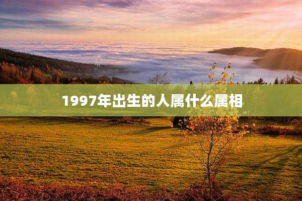 1997年出生的人属什么属相