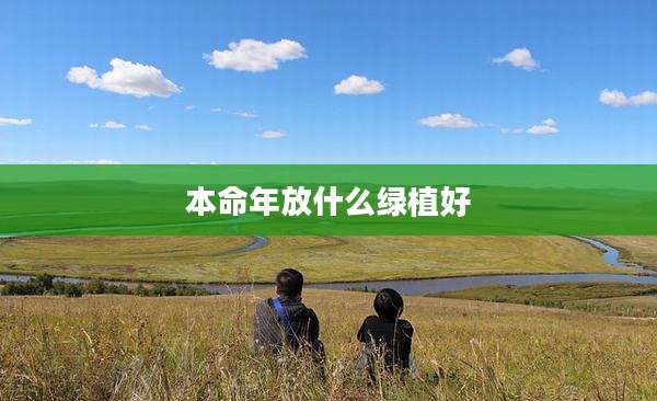 本命年放什么绿植好
