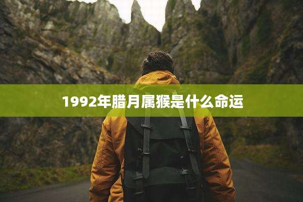 1992年腊月属猴是什么命运