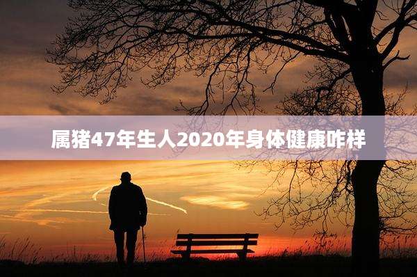 属猪47年生人2020年身体健康咋样