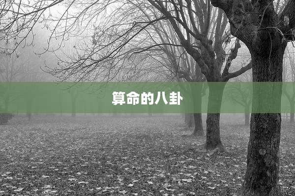 算命的八卦
